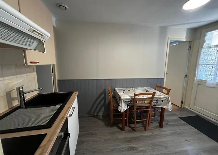 T2 Avec Wifi Et Parking Au Centre De - Fr-1-541-159 * La Roche-Posay