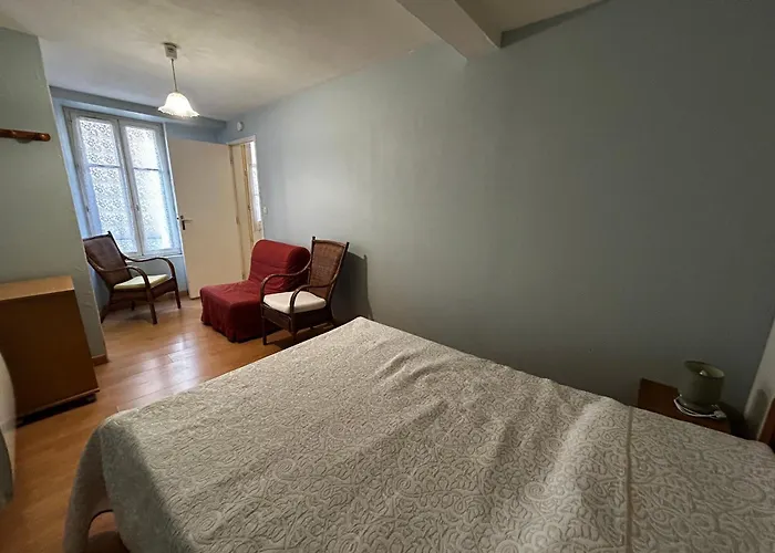 T2 Avec Wifi Et Parking Au Centre De - Fr-1-541-159 Apartment La Roche-Posay